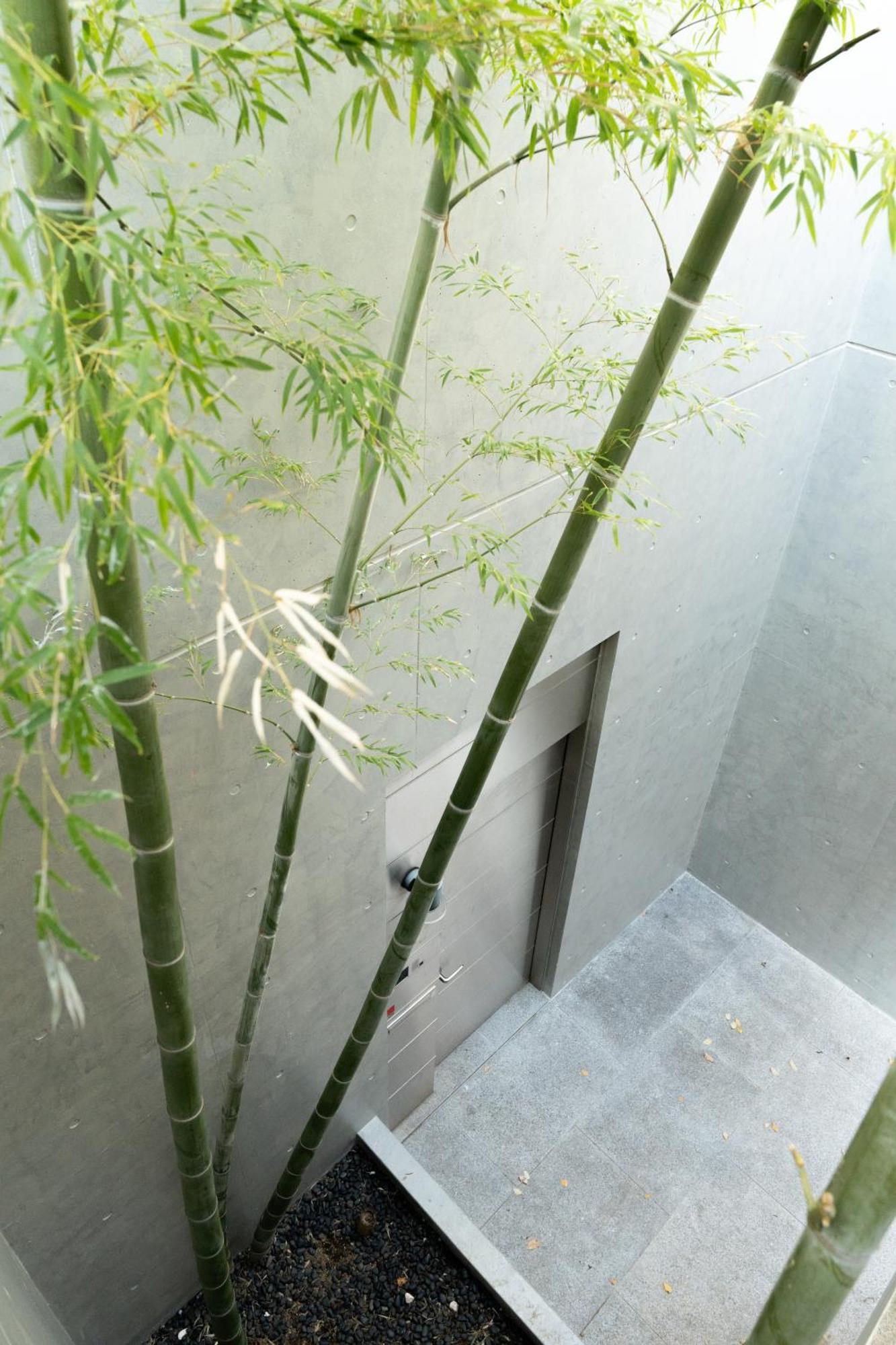 Azabu Modern House The Tokyo Tower Can Be Seen From The Villa 500M2 Luaran gambar